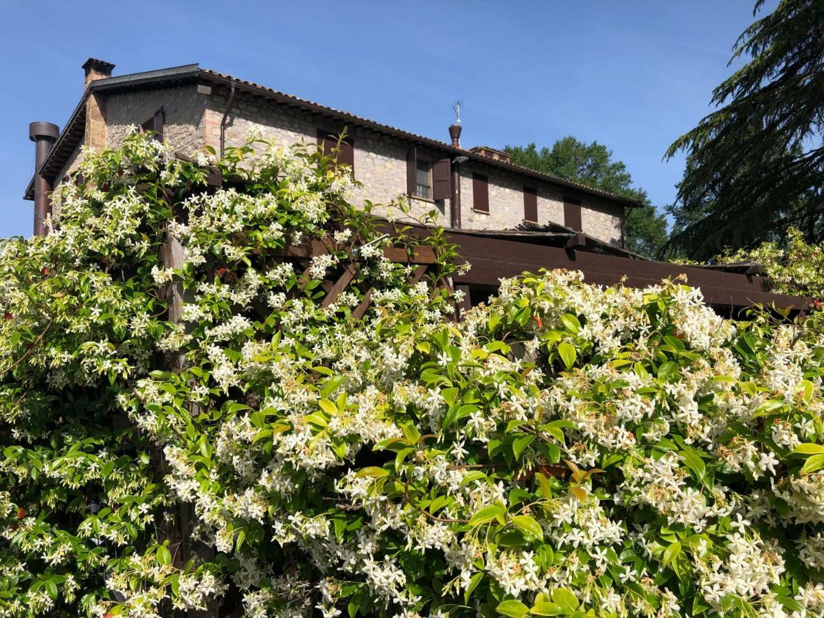 Agriturismo Beata Vanna Fabro Exterior foto